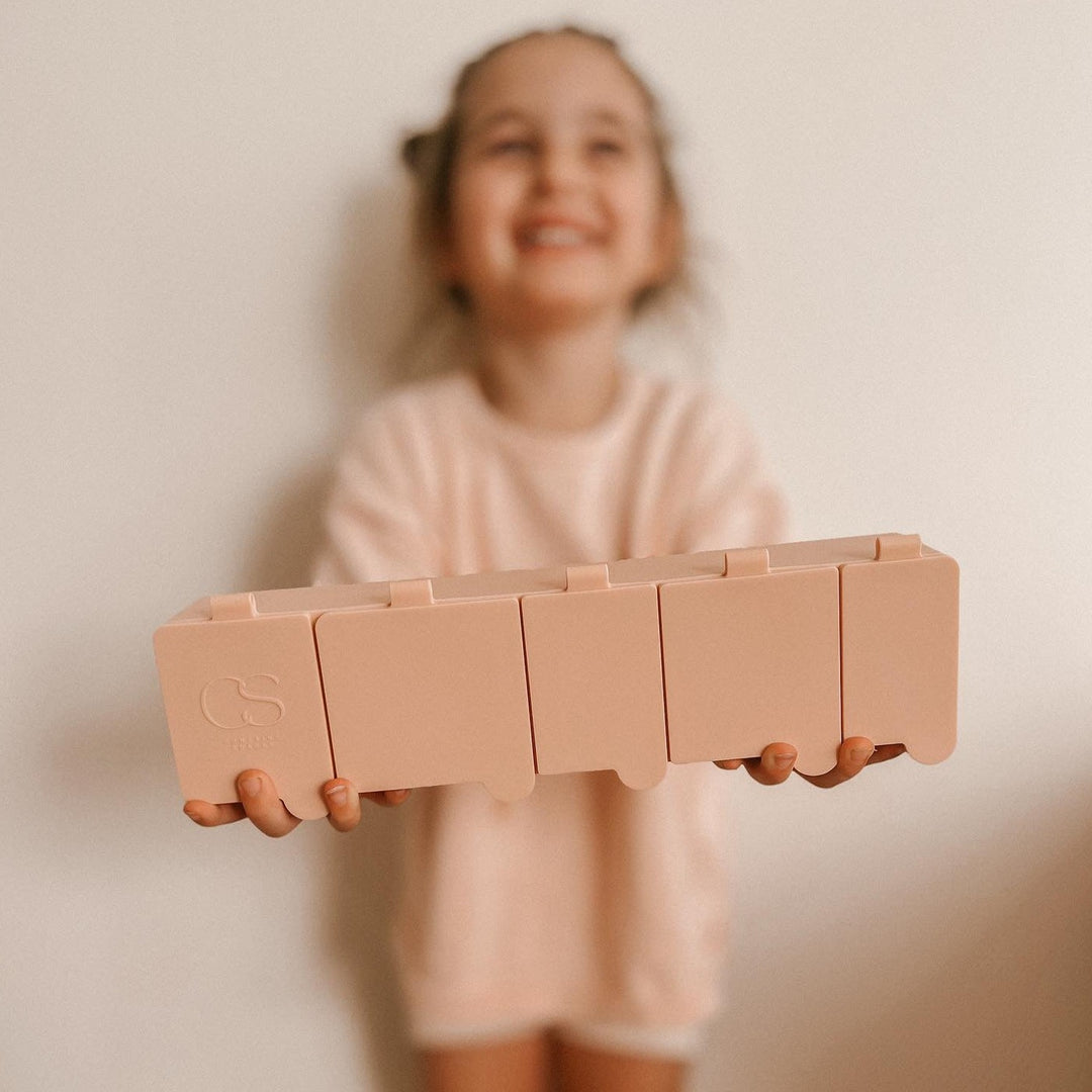 Contains Anything Snack Bento - Pink Salt