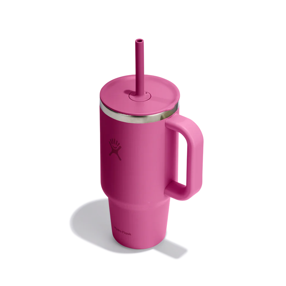 Hydro Flask 32oz Travel Tumbler - Reef