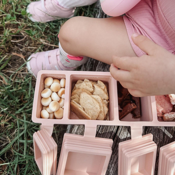 Contains Anything Snack Bento - Pink Salt