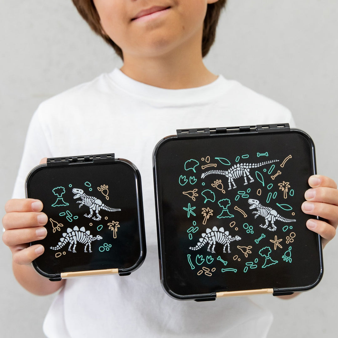 MontiiCo Bento Five Lunch Box - Dinosaur Land