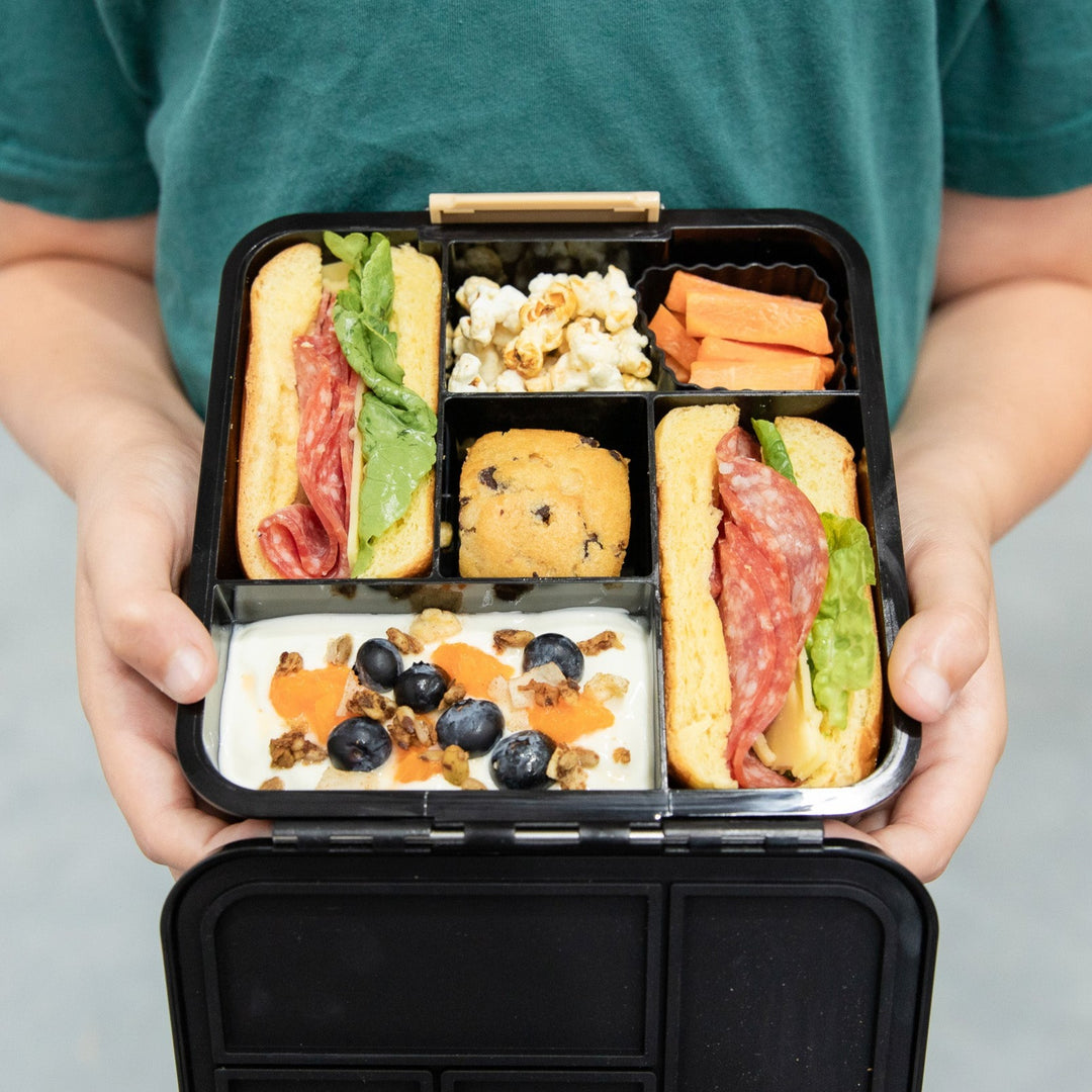 MontiiCo Bento Five Lunch Box - Dinosaur Land