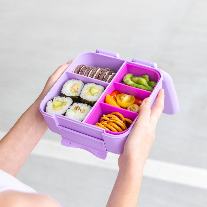 PRE-ORDER - MontiiCo Large Lunch Bundle - Meadow - FREE SHIPPING