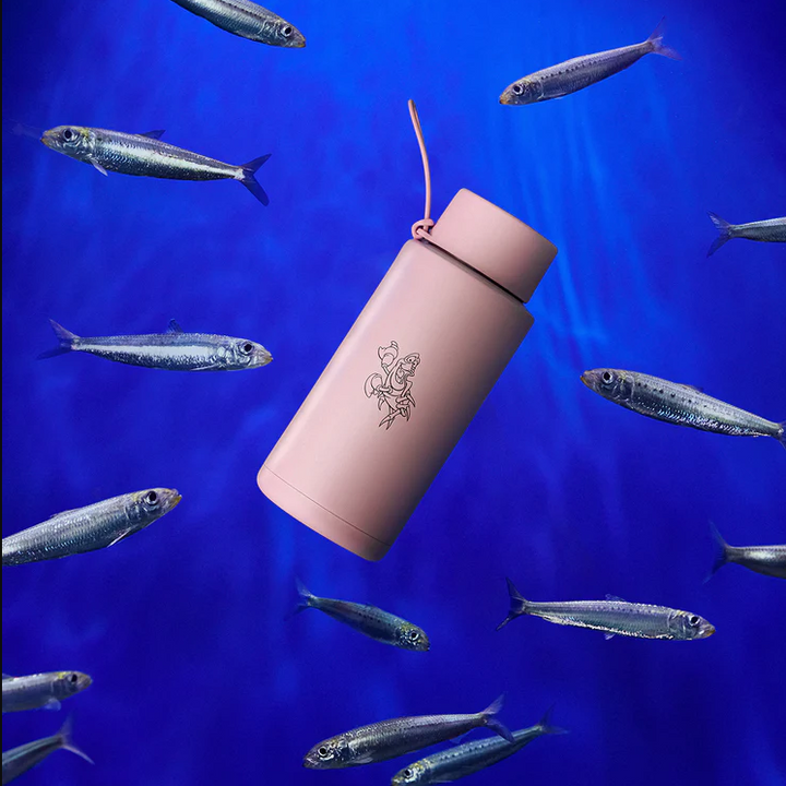 Frank Green Insulated Drink Bottle 1L Disney - Sebastian