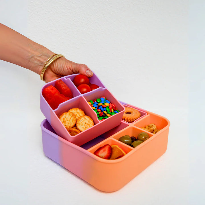 The Zero Waste People Big Bento Dividers - Paddle Pop