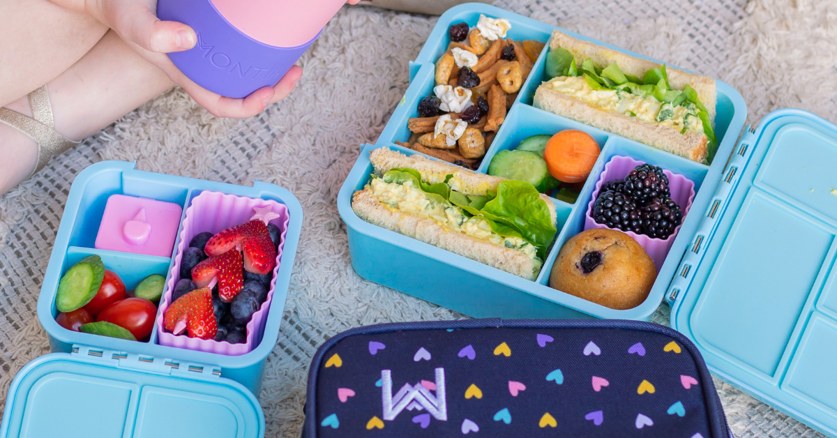 BOZ Bento Box for Kids - Kids Bento Lunch Box - Toddler Lunch Box