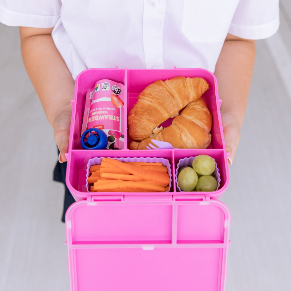 MontiiCo Mixed Pack Bento Cups - Pine