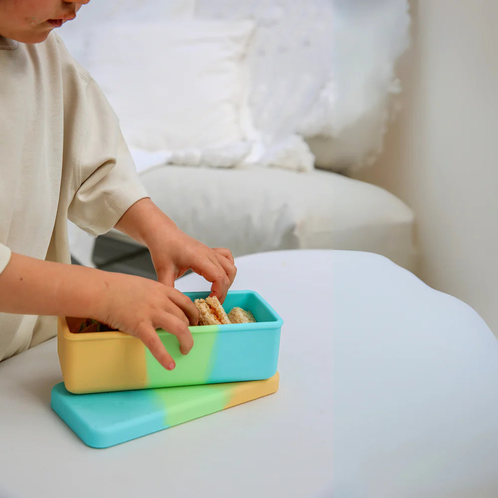 The Zero Waste People Bento Bite - Splice