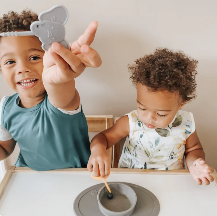 BapronBaby Foodie Food Picks Set - Safari