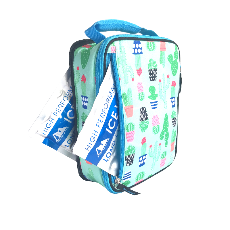 Arctic Zone Expandable Insulated Bag - Cactus