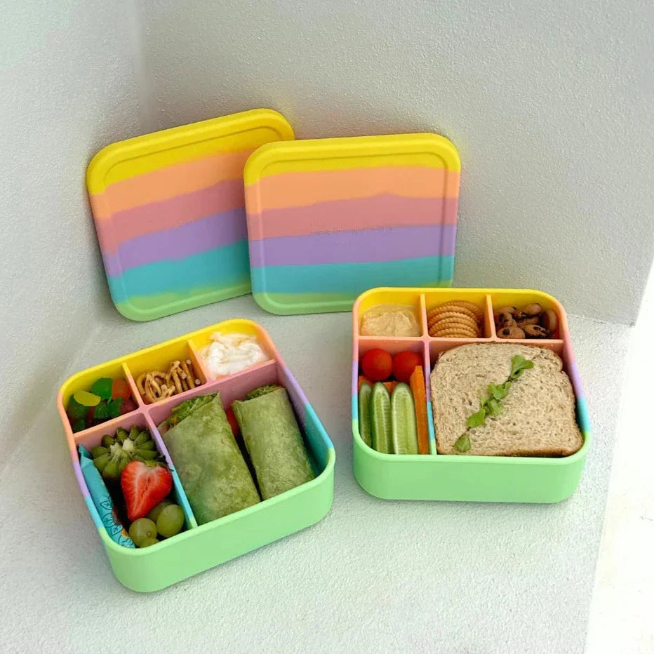ZWP BIG Bento Lunch Boxes & Dividers
