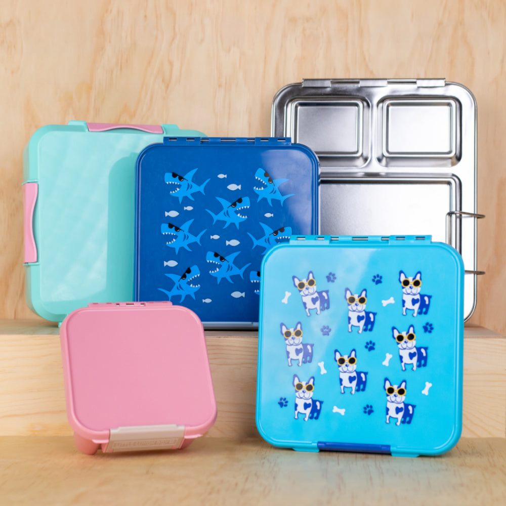 Box Renge Hot & Cold Lunch Boxes - The Range Is Growing! – The Bento Buzz