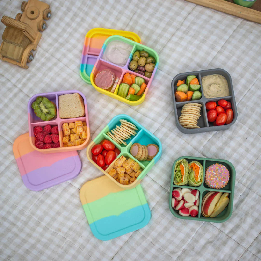 ZWP Bento Snack Boxes