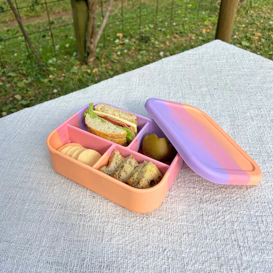 Silicone Midi Bento Lunch Box - Paddle Pop