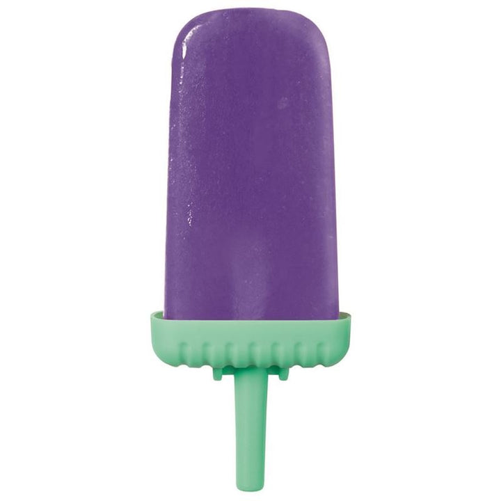 Avanti Reusable Ice Block Mould Set