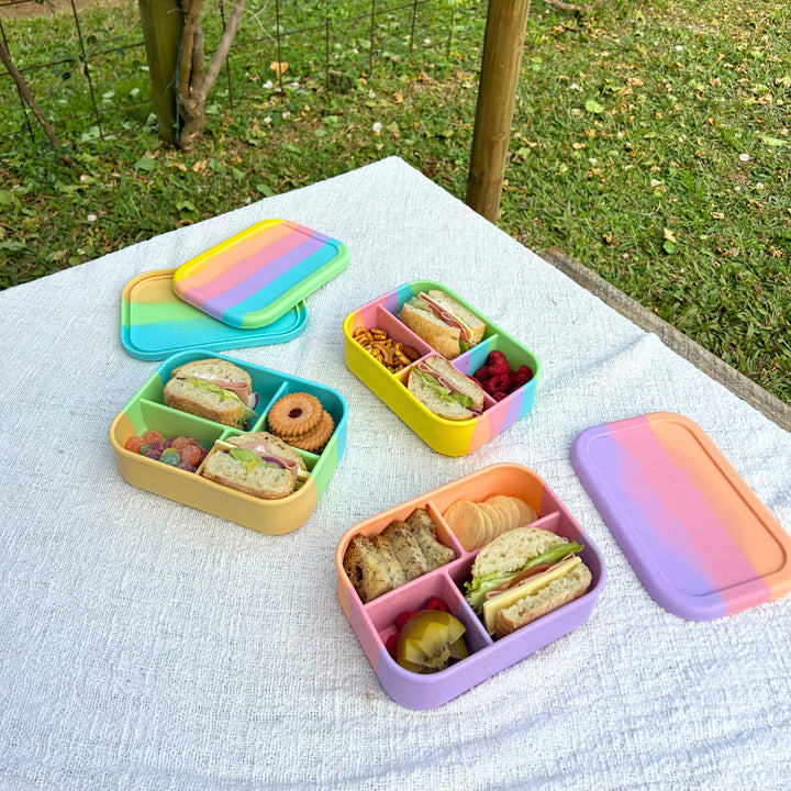 Silicone 4 Grid Bento Lunch Box - Splice