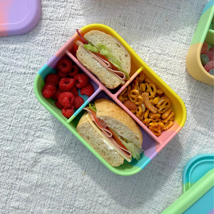 Silicone 4 Grid Bento Lunch Box - Rainbow