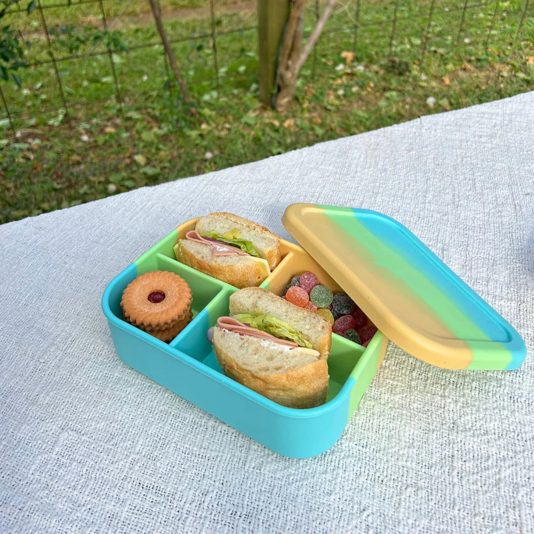 Silicone 4 Grid Bento Lunch Box - Splice