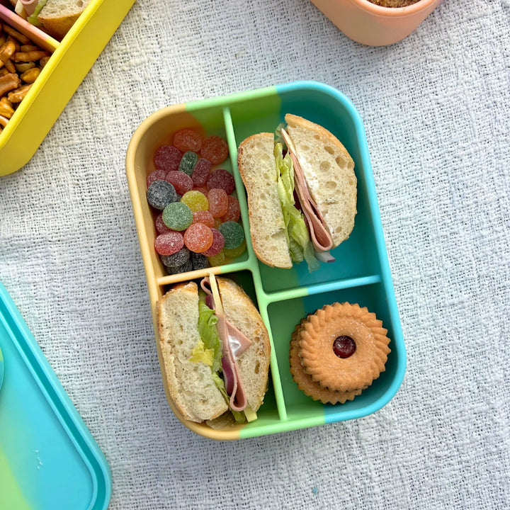 Silicone 4 Grid Bento Lunch Box - Splice