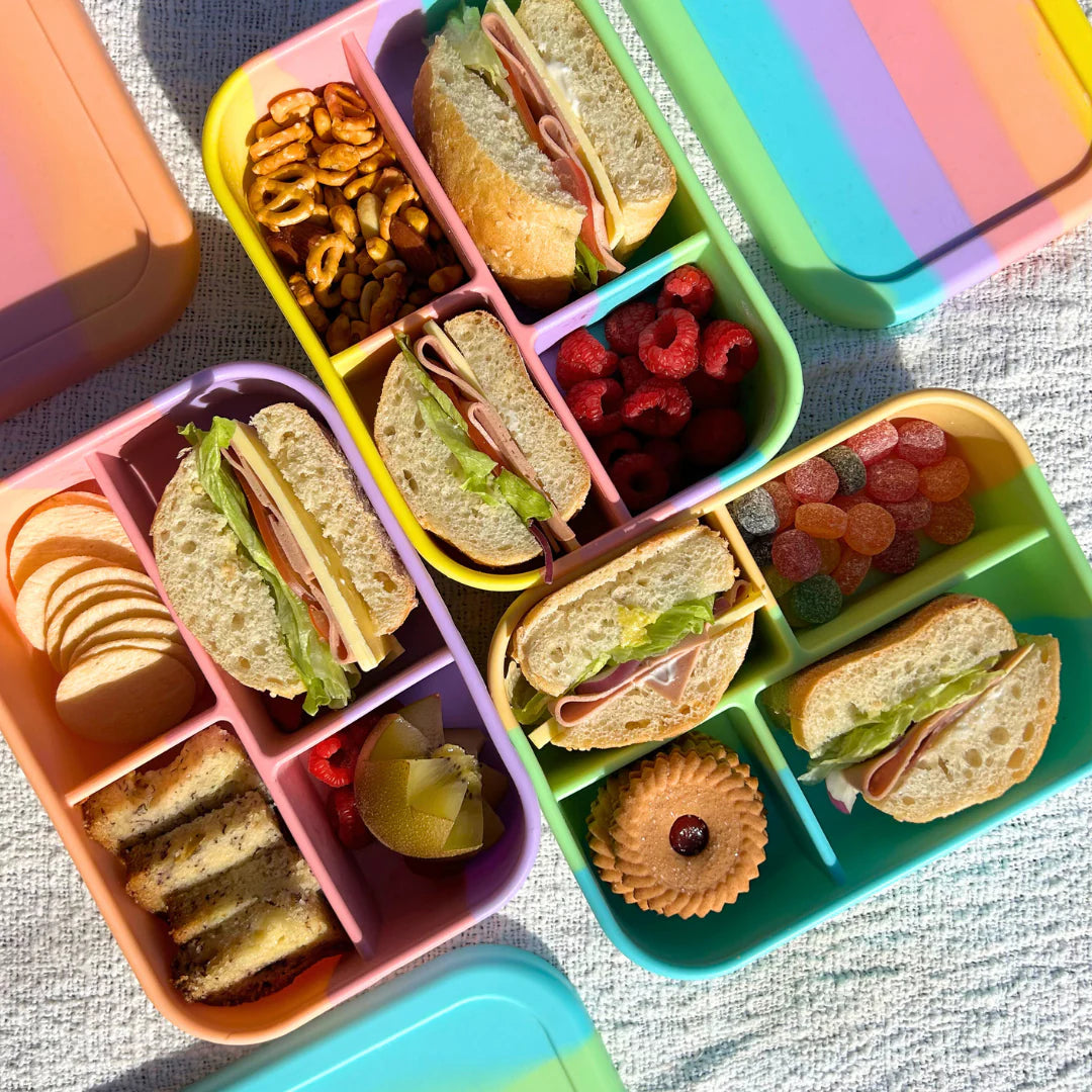 Silicone Midi Bento Lunch Box - Splice