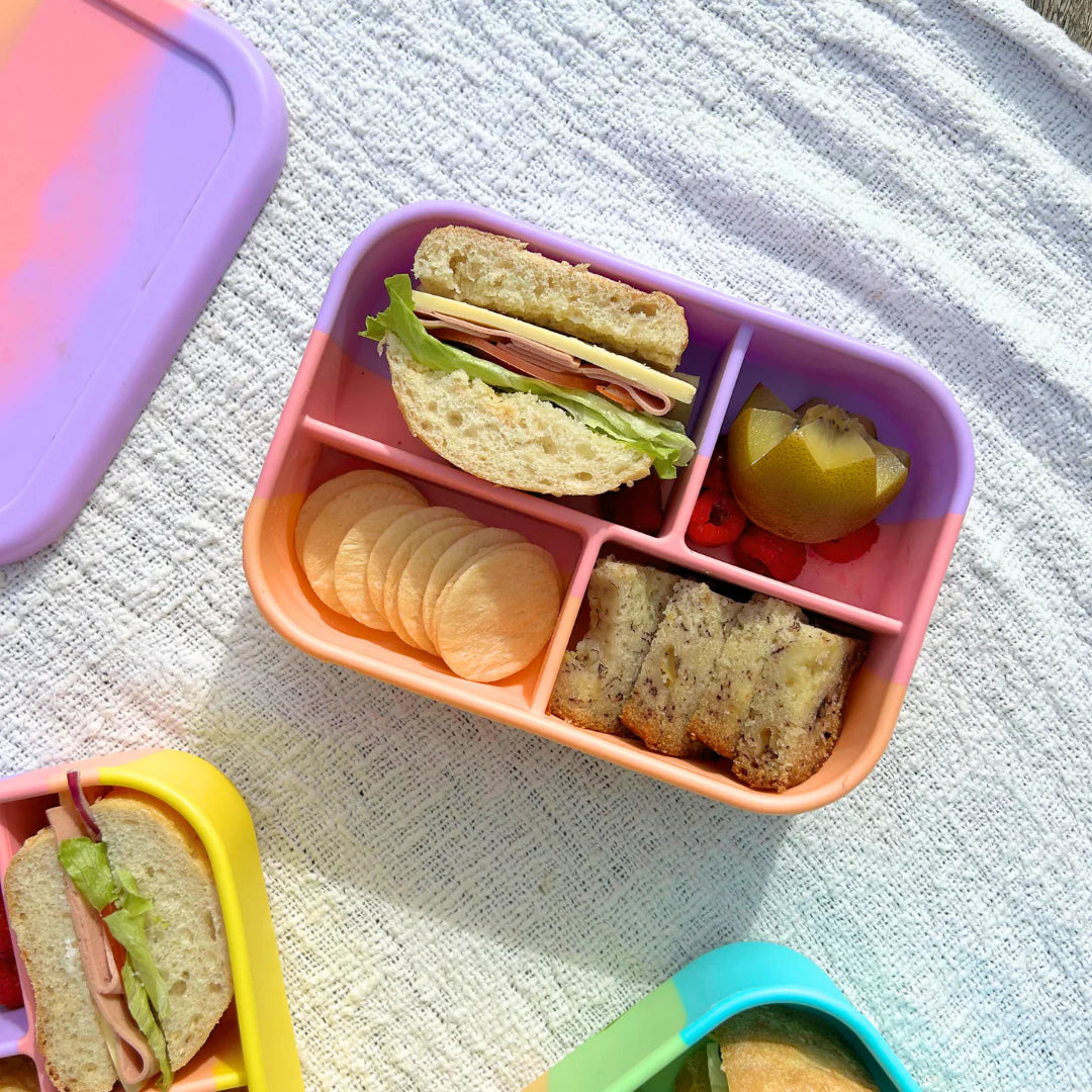 Silicone 4 Grid Bento Lunch Box - Paddle Pop