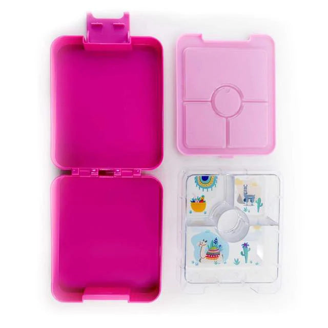 Citron Bento Snack Box With Sandwich Cutter + Picks - Flamingo