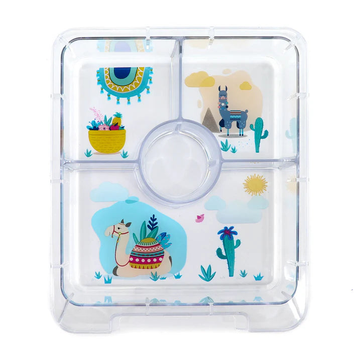 Citron Bento Snack Box With Sandwich Cutter + Picks - Turquoise Dino