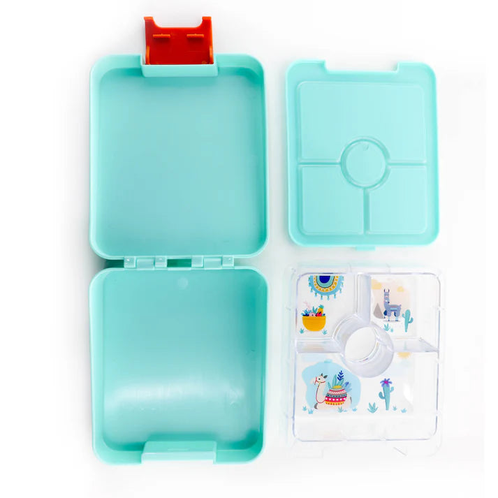 Citron Bento Snack Box With Sandwich Cutter + Picks - Turquoise Dino