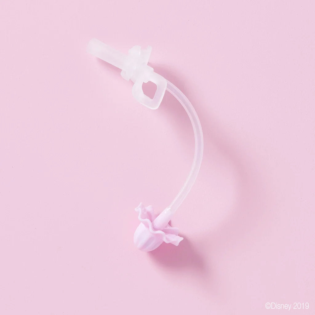 b.box DISNEY PRINCESS Replacement Straw and Cleaner Pack - Sippy Cup