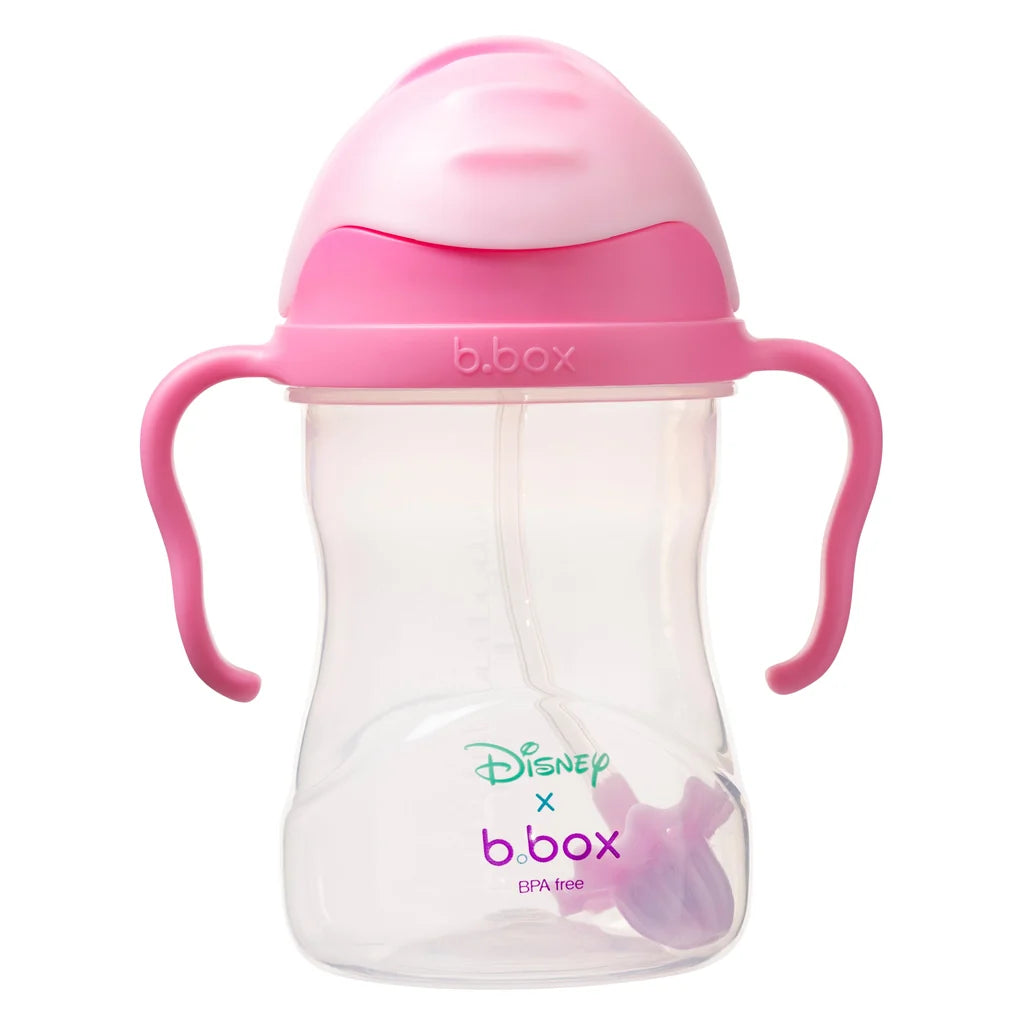 b.box DISNEY PRINCESS Replacement Straw and Cleaner Pack - Sippy Cup