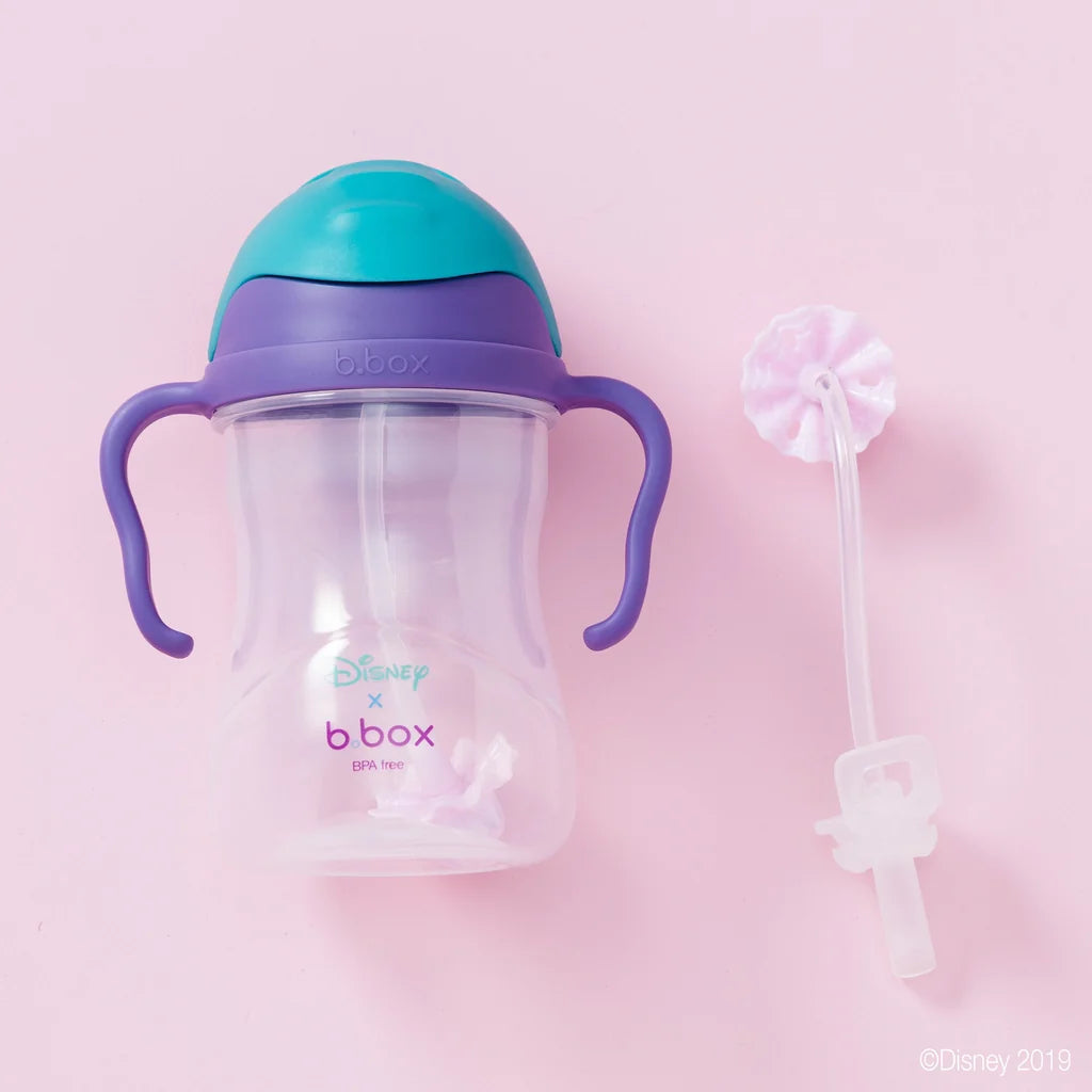 b.box DISNEY PRINCESS Replacement Straw and Cleaner Pack - Sippy Cup