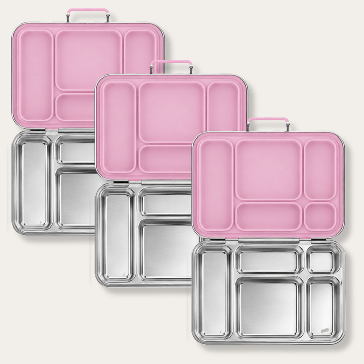 EverBento Classic Stainless Steel & Silicone Bento 3pk Bundle - Posie Pink