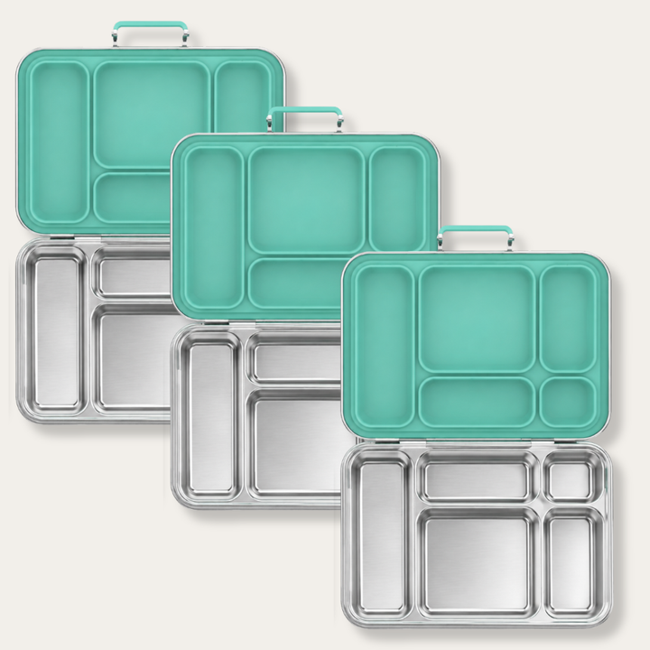EverBento Classic Stainless Steel & Silicone Bento 3pk Bundle - River Mint