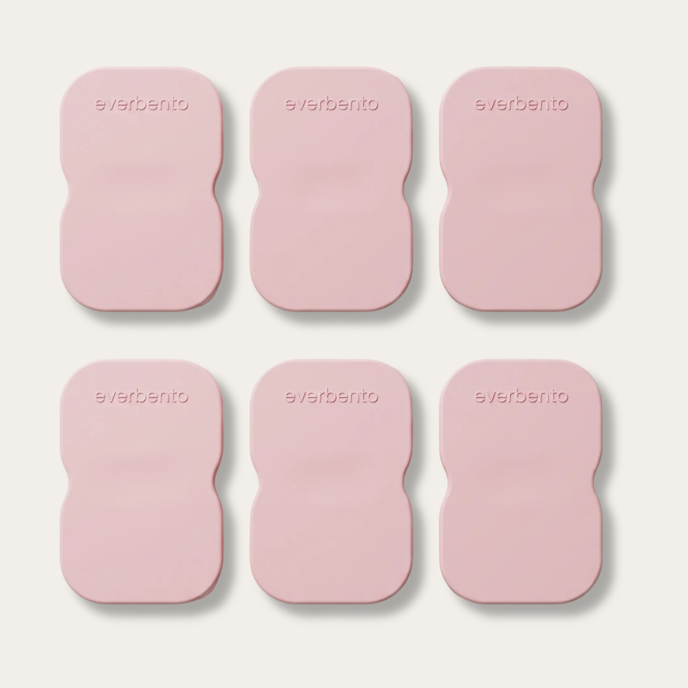 EverBento Stainless Steel & Silicone DipDuo 6pk Bundle - Posie Pink