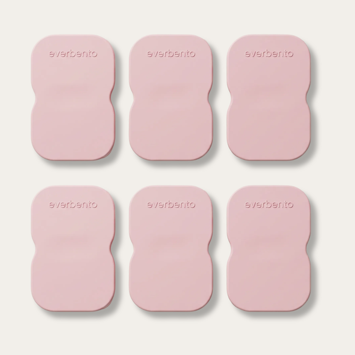 EverBento Stainless Steel & Silicone DipDuo 6pk Bundle - Posie Pink