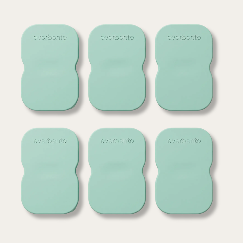 EverBento Stainless Steel & Silicone DipDuo 6pk Bundle - River Mint
