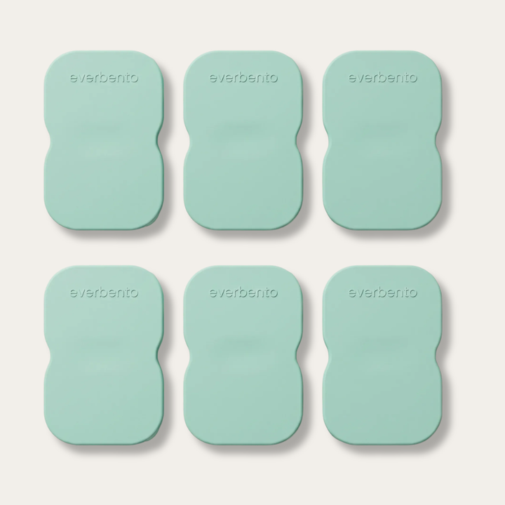 EverBento Stainless Steel & Silicone DipDuo 6pk Bundle - River Mint