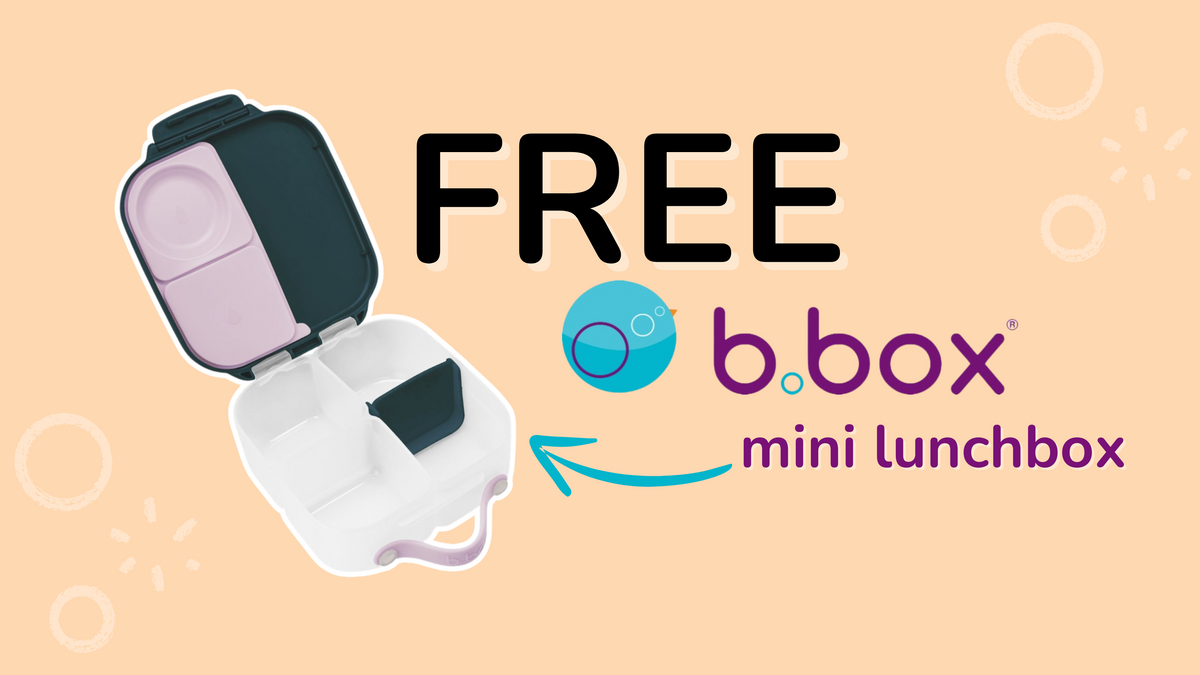 The Bento Buzz