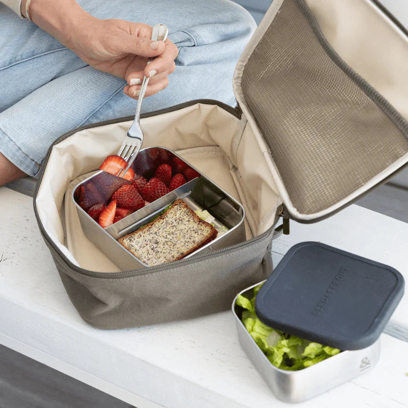 Seed & Sprout 1200ml Stainless Steel Lunch Box