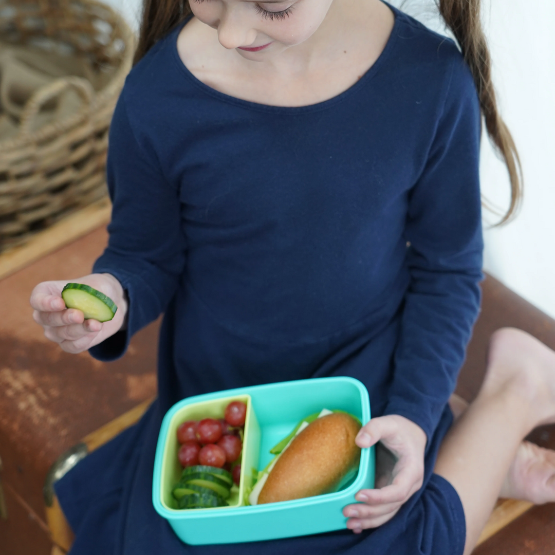 Melii Luxe Bento Box - Blue & Mint - 880mL - 2 Compartments