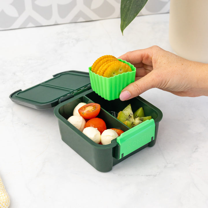 MontiiCo Bento Box & Bottle Bundle - Dinosaur
