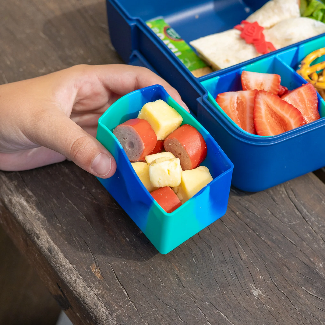 MontiiCo Feast Bento Cups - 2pk - Coastal Marble