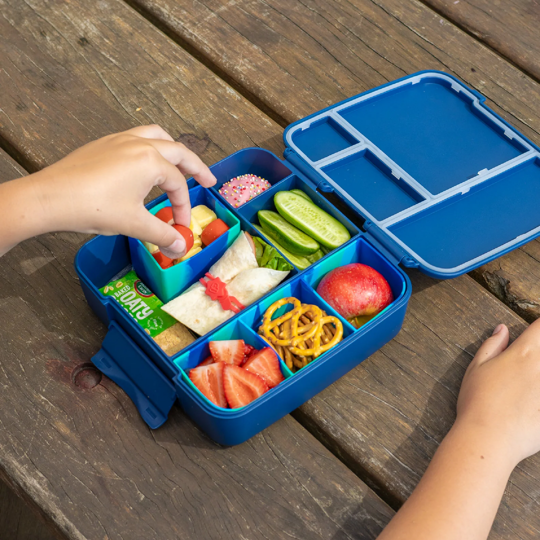 MontiiCo Feast Bento Cups - 2pk - Coastal Marble