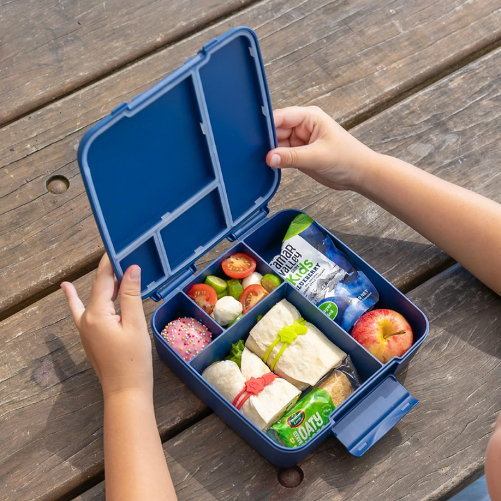 MontiiCo Feast Lunch Box - Navy