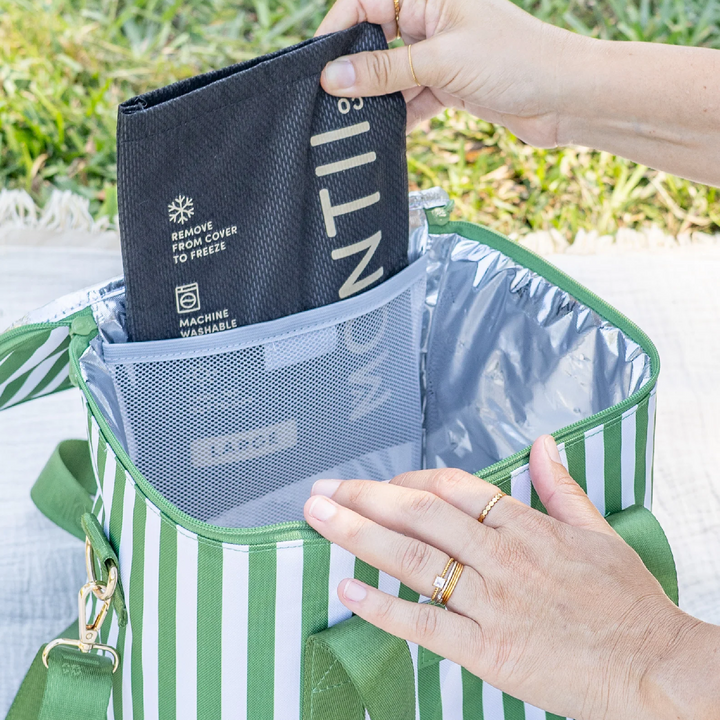 MontiiCo Insulated Midi Cooler - Pickle Stripe