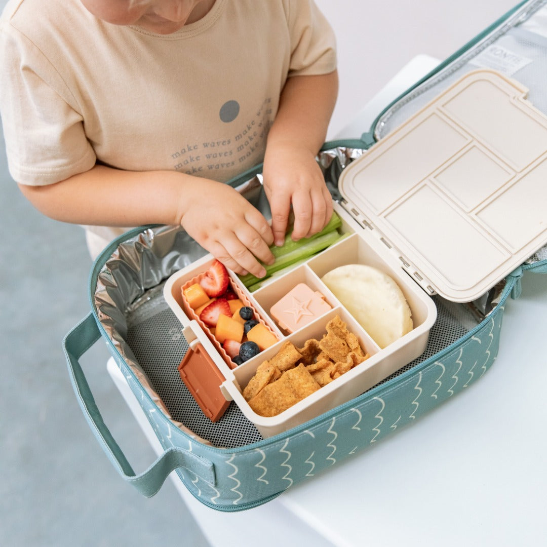 Large insulated lunch sales box