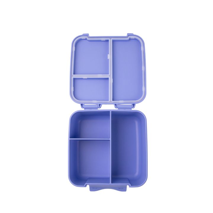 MontiiCo Bite Lunch Box - Splash