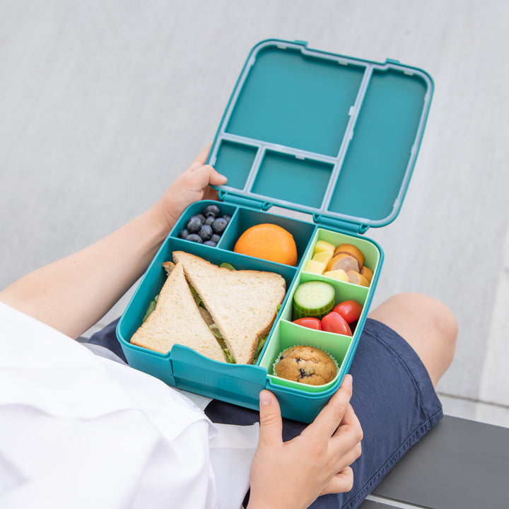 PRE-ORDER - MontiiCo Feast Lunch Box - Pine