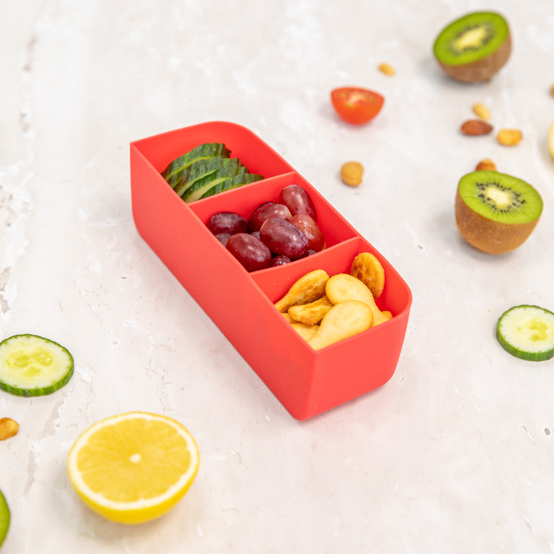 PRE-ORDER MontiiCo Feast Bento Tray - Watermelon
