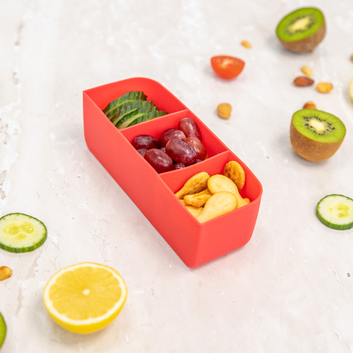 PRE-ORDER MontiiCo Feast Bento Tray - Watermelon