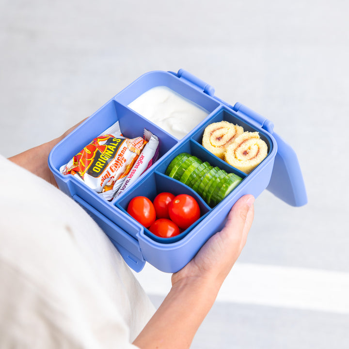 MontiiCo Bite Lunch Box - Splash